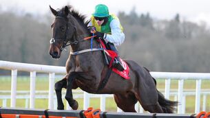 <p>Sayce Gold and Darragh O'Keeffe win the Kerry Group Stayers Novice Hurdle (Grade 3) at Cork. Picture: Healy Racing</p>