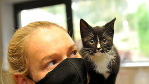 Gallery of selected images