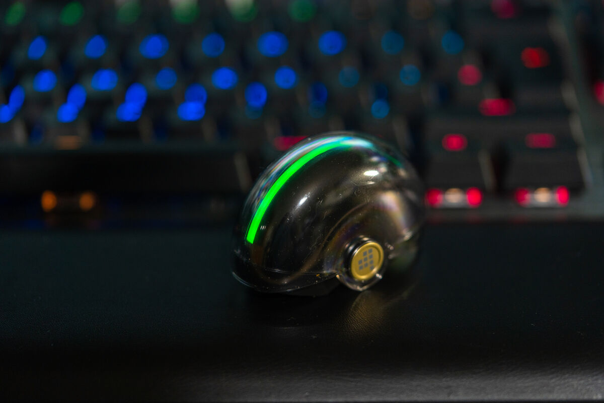 ...to green and then.... Pic: Noel Campion.