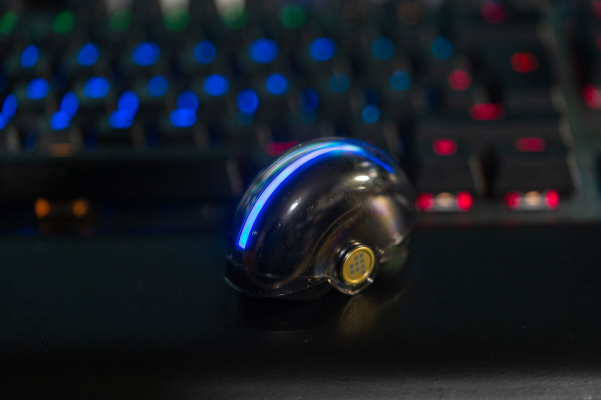 ....blue. Pic: Noel Campion.