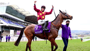 <p>Jack Kennedy celebrates on top of Minella Indo after winning the WellChild Cheltenham Gold Cup Chase during day four of the 2021 Cheltenham Festival at Cheltenham Racecourse. Gold Cup winner Minella Indo makes his eagerly-awaited return to action in the Ladbrokes Champion Chase at Down Royal on Saturday. Photo: Michael Steele/PA Wire.</p>