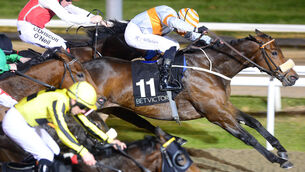<p>Arcanears and Ronan Whelan win from Enough Said for trainer Michael Halford at Dundalk in November 2019. Photo: Healy Racing</p>