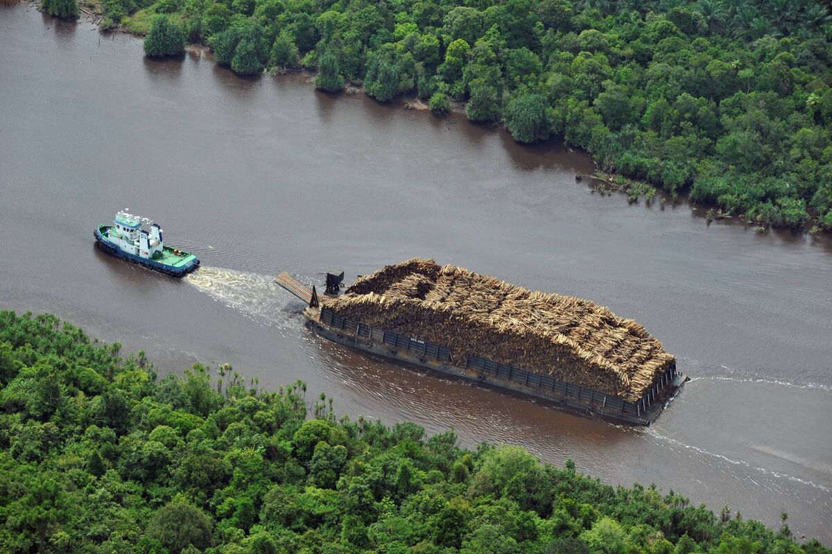 A tugboat pulls a barge loaded with logs on a river in South Sumatra province in 2010; however Indonesia has experienced significant falls in deforestation in recent years. File picture: Getty Images A tugboat pulls a barge loaded with logs on a river in South Sumatra province in 2010; however Indonesia has experienced significant falls in deforestation in recent years. File picture: Getty Images
