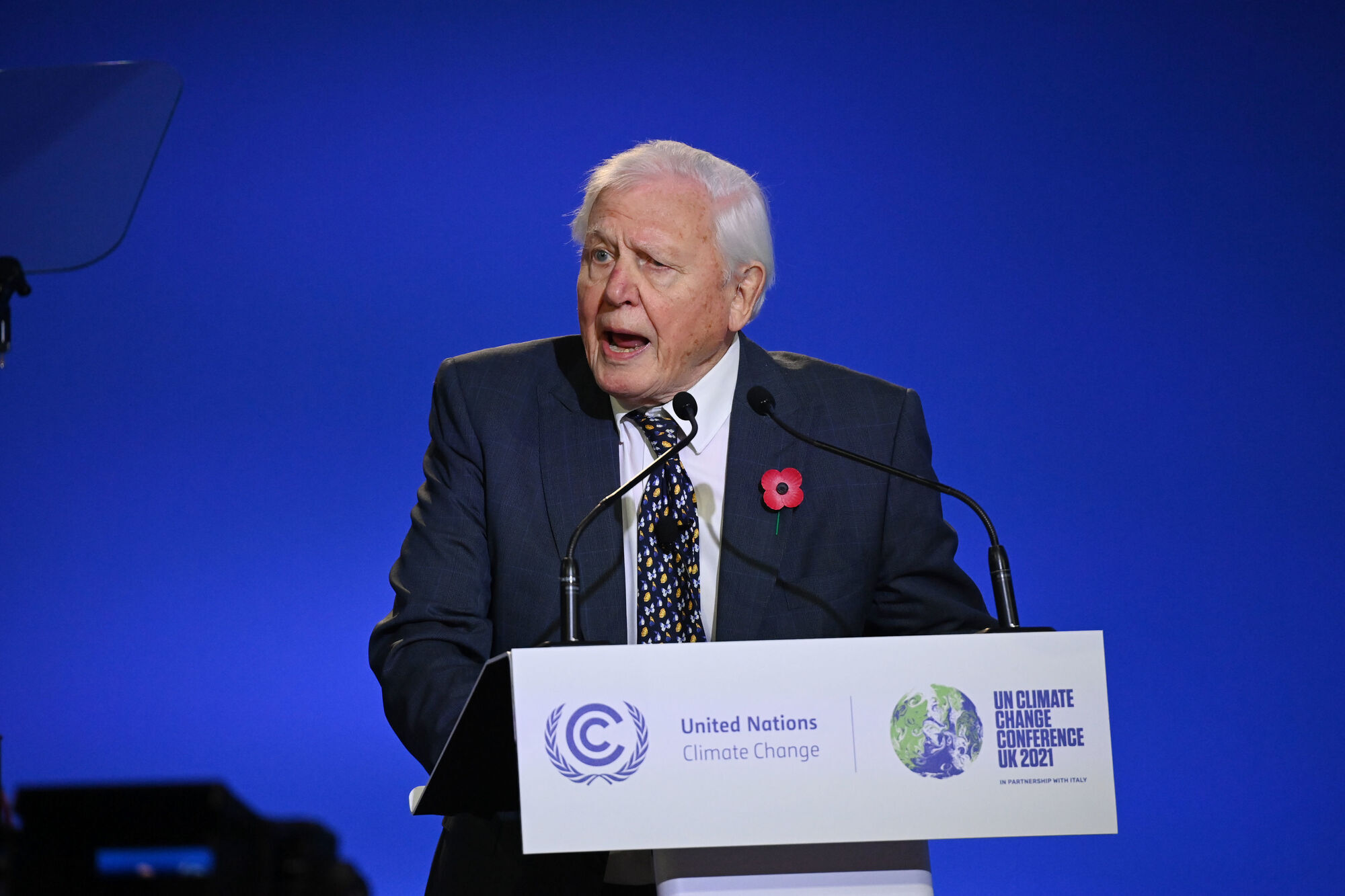 David Attenborough: Are we doomed for not seeing the bigger picture?