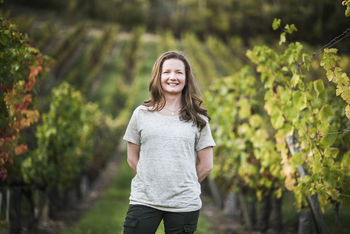 Master of Wine Róisín Curley, Mayo pharmacist turned winemaker has swapped Ballyhaunis for Burgundy Master of Wine Róisín Curley, Mayo pharmacist turned winemaker has swapped Ballyhaunis for Burgundy