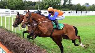 <p>Defan and Darragh O'Keeffe jump the last to win the Charlie Chute Memorial Handicap Steeplechase. Picture: Healy Racing</p>
