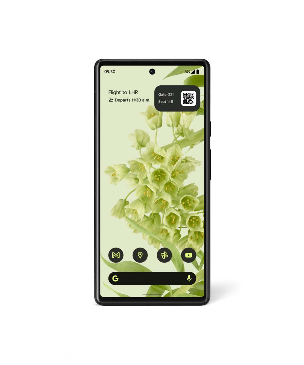 Android 12 on the Pixel 6. Pic: Google