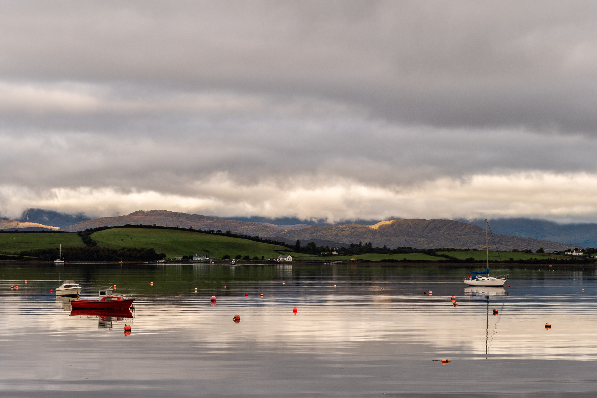 Up to 80,000 salmon worth a total of €2.4m dead in major fish kill in West Cork