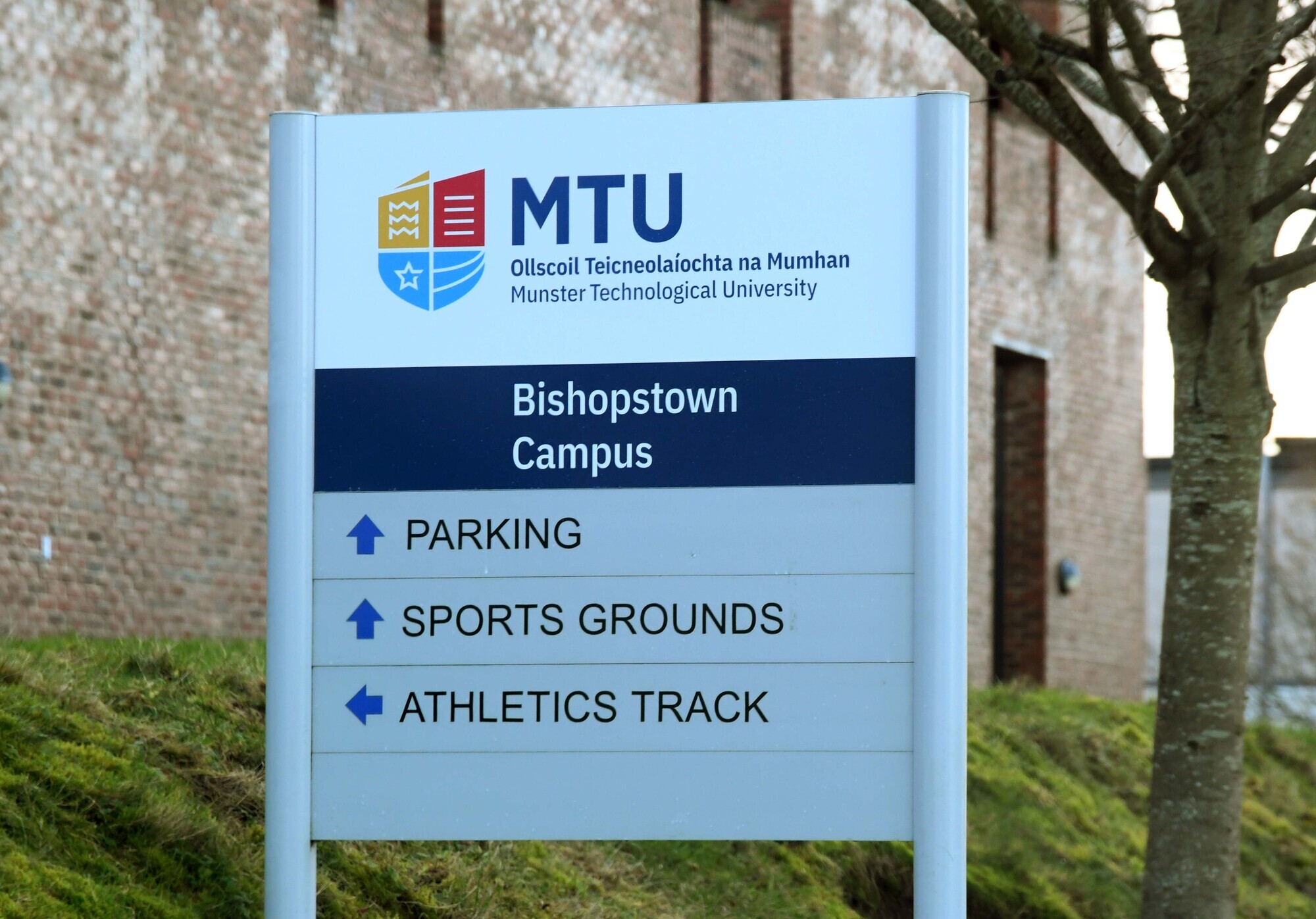 MTU staff to protest as Taoiseach attends flag ceremony