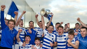 <p>Naas players celebrate with the cup after the Kildare County Senior Club Football Championship Final match between Naas and Sarsfields at St Conleth's Park in Newbridge, Kildare. Picture: Daire Brennan/Sportsfile</p>