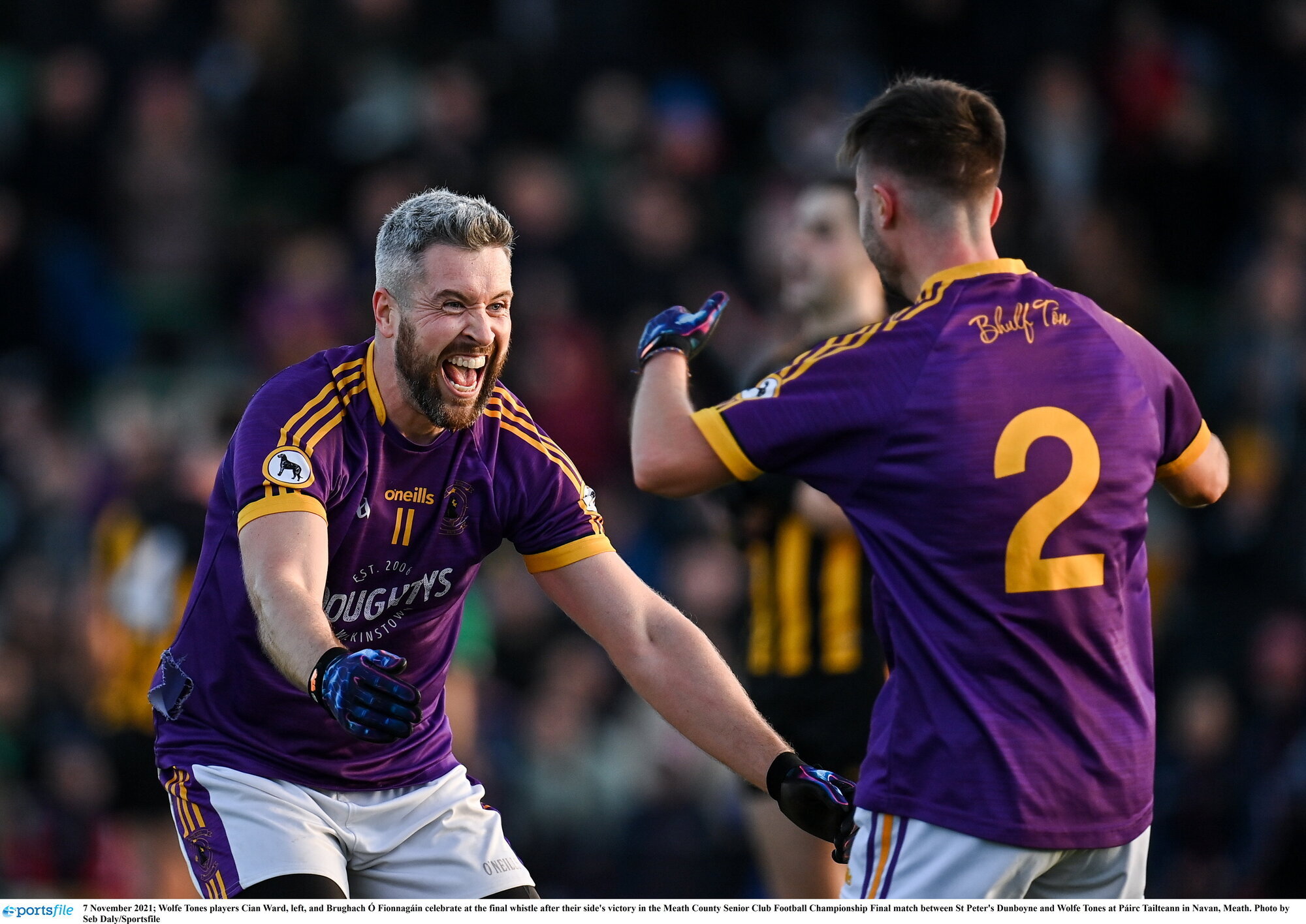 Cian Ward: Shorter Meath career could've given me more Wolfe Tones joy