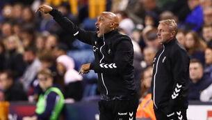 <p>Curtis Fleming ticks the boxes necessary for filling a complex role as Ireland’s new football director. Photo by Jacques Feeney/Getty Images</p>