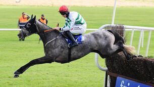 <p>Riviere D'etel and Jack Kennedy jump the last to win the Fairyhouse Mares Beginners Steeplechase last month. Picture: Healy Racing</p>