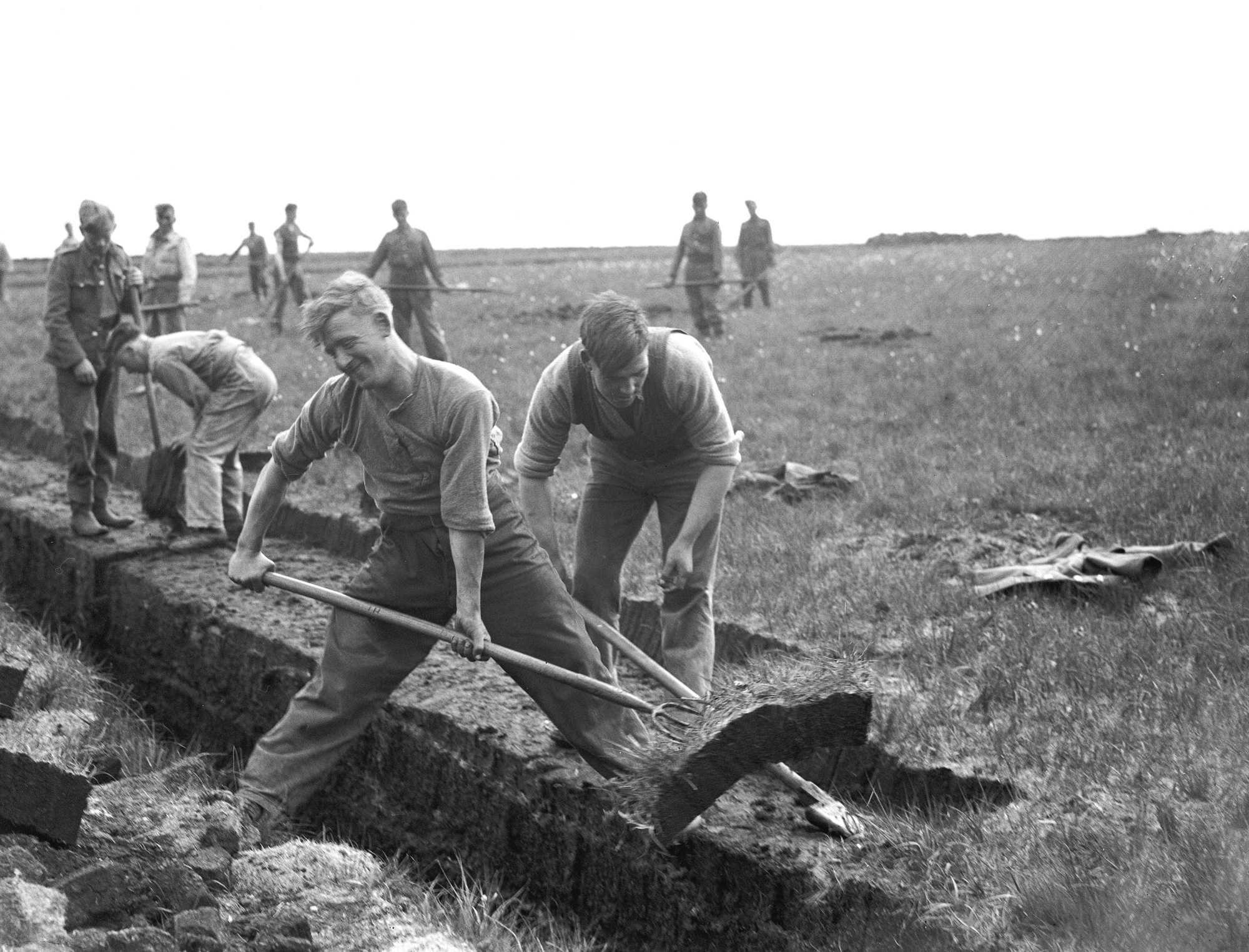 Donal Hickey: The enduring mystique of bogs
