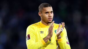 <p>Gavin Bazunu: penalty save from Cristiano Ronaldo was career-defining. Picture: INPHO/Laszlo Geczo</p>