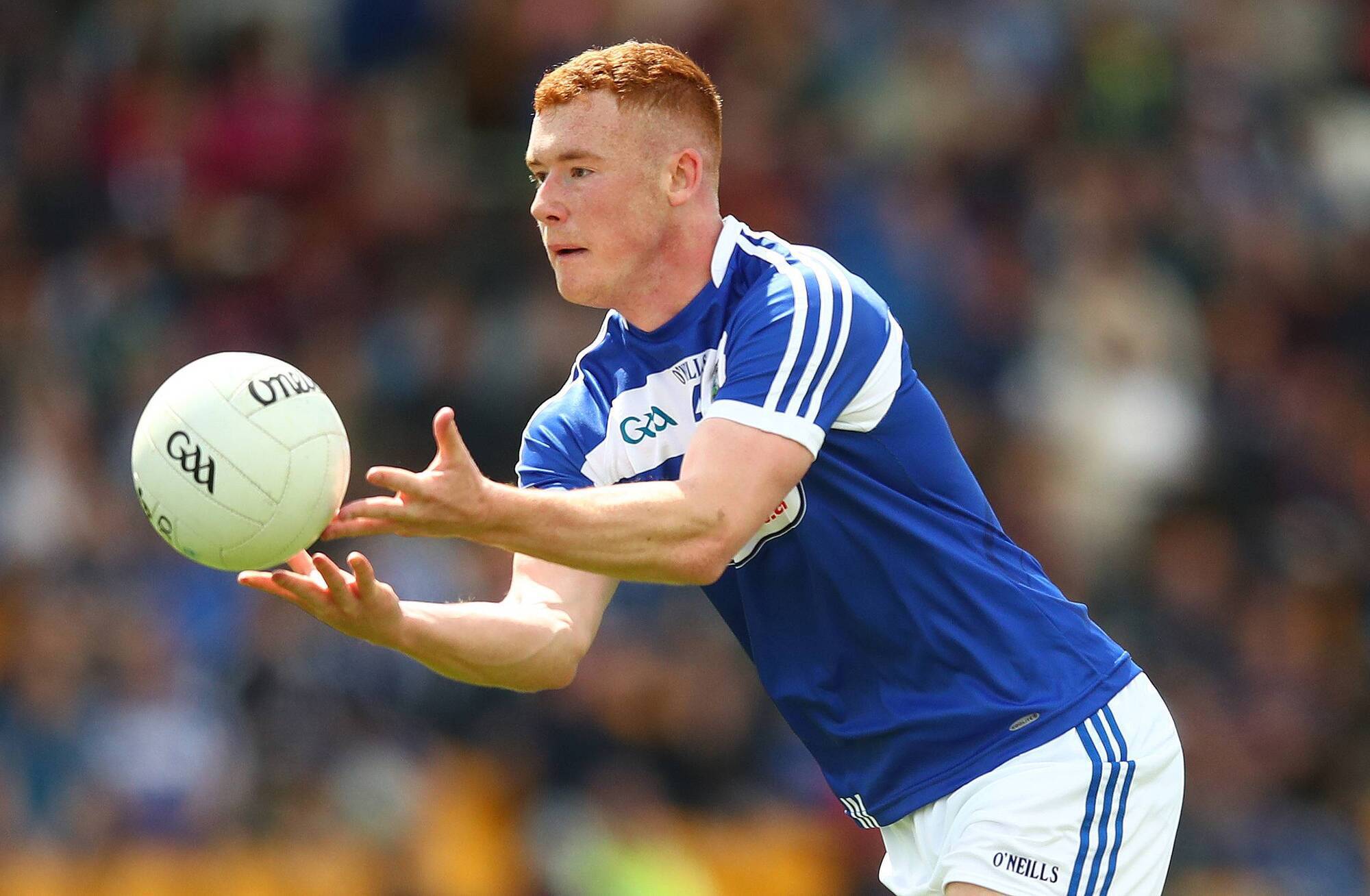 Colm Murphy eyeing Christmas cracker at Croke Park as Portarlington set sights on Leinster