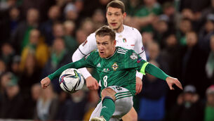 <p>Northern Ireland held Italy to a goalless stalemate (Liam McBurney/PA)</p>