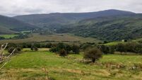More than €300,000 sought for 117ac farm near Kilgarvan