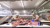 Butcher cutting meat on the Food Processing Plant