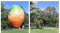 Seven-tonne mango 'stolen' from small town in Australia