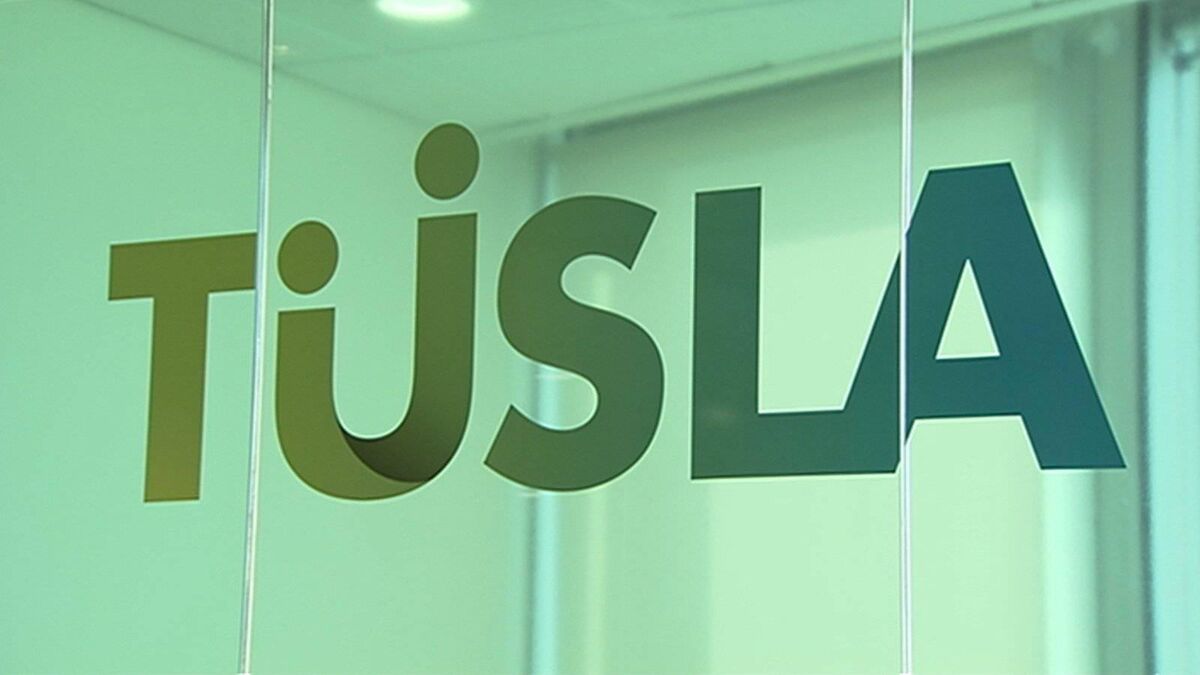 Ciaran's assertions and claims were put to Tusla and in a lengthy response it said "the former employee did work for the Agency for a very brief period". Ciaran's assertions and claims were put to Tusla and in a lengthy response it said "the former employee did work for the Agency for a very brief period".