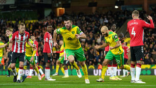 <p>Norwich’s Grant Hanley celebrates scoring (Joe Giddens/PA)</p>