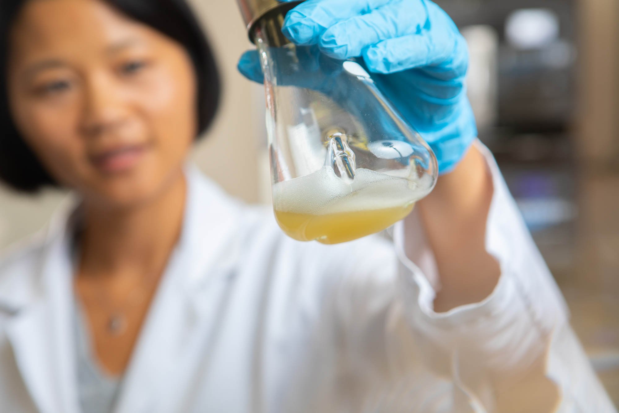 Sugar-loving microbes could help power future cars, study shows
