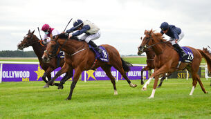 <p>Seattle Creek, left, was a little unlucky when touched off by Anner Castle at the Currragh last month. Picture: Healy Racing</p>