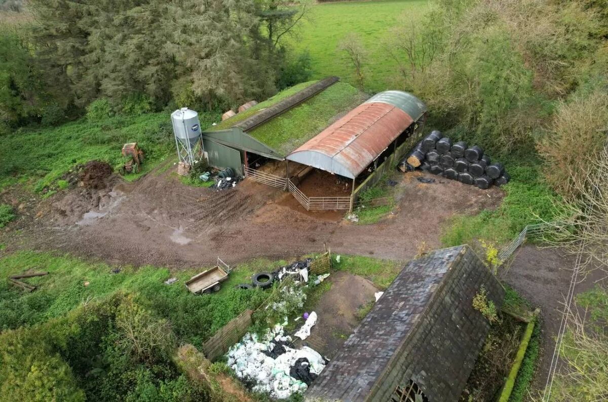 The yard at Glen North, Banteer.