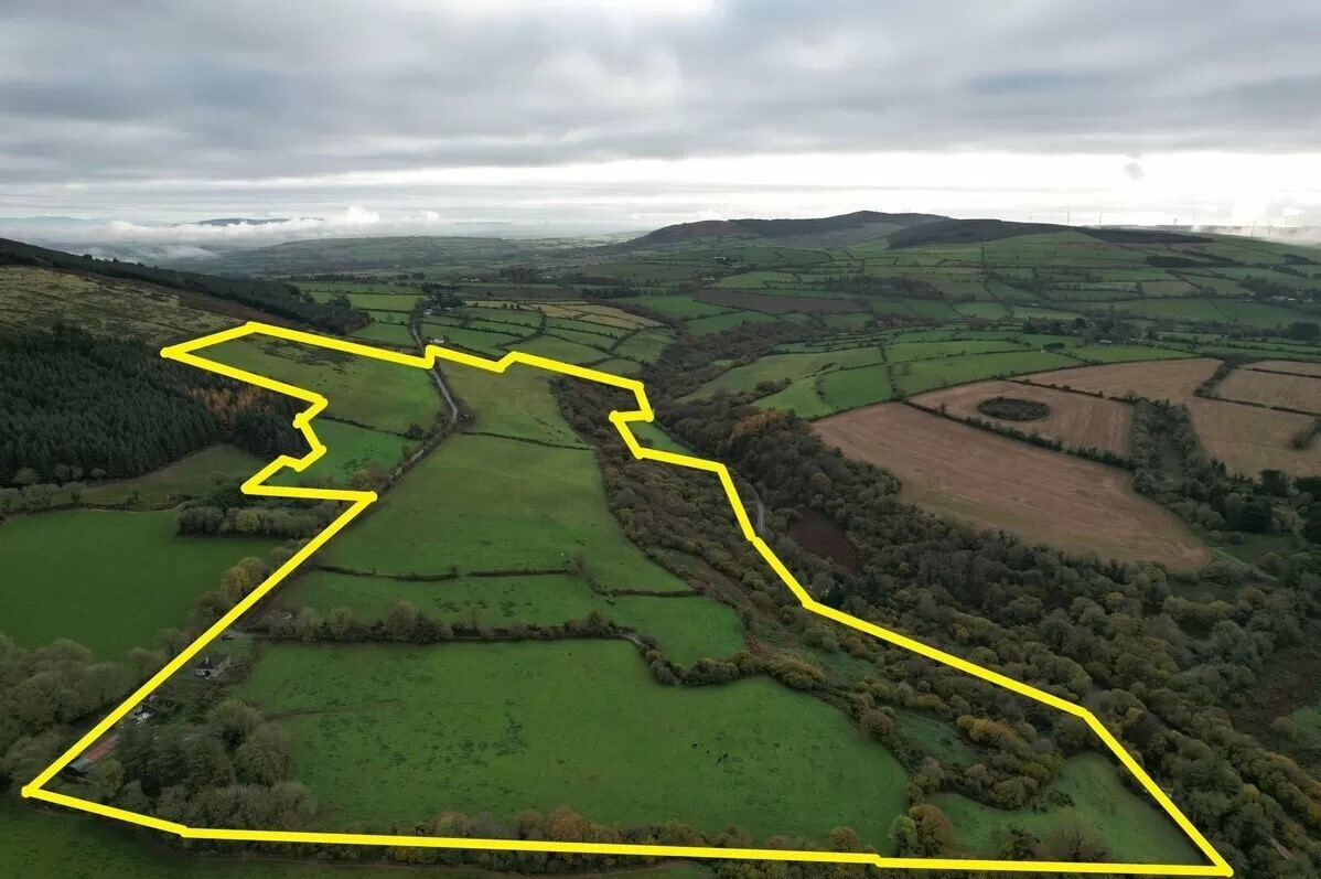 An aerial outlined photo of the 72-acre farm near Banteer, Co. Cork.
