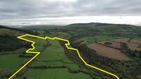 72-acre North Cork farm offers tempting value at €7,300 an acre
