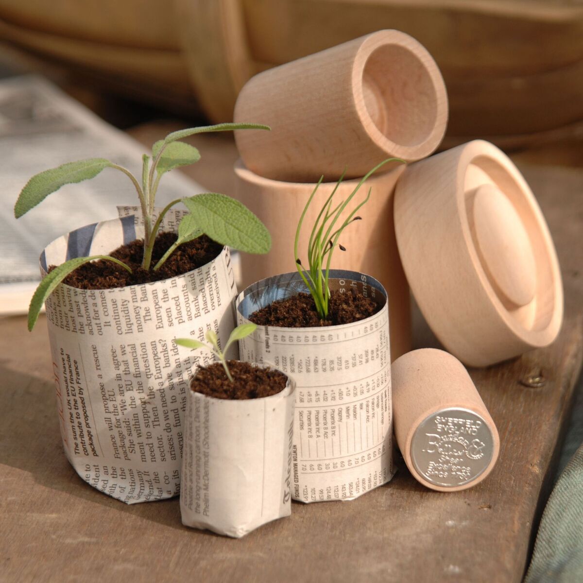 Little fingers and older green thumbs can whip up paper pots to take seedlings straight into the ground. Prices from €15 on Etsy. Little fingers and older green thumbs can whip up paper pots to take seedlings straight into the ground. Prices from €15 on Etsy.