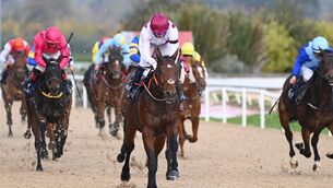 <p>Bradesco and Chris Hayes win the Irishinjuredjockeys.com Handicap at Dundalk earlier this month. Picture: Healy Racing.</p>