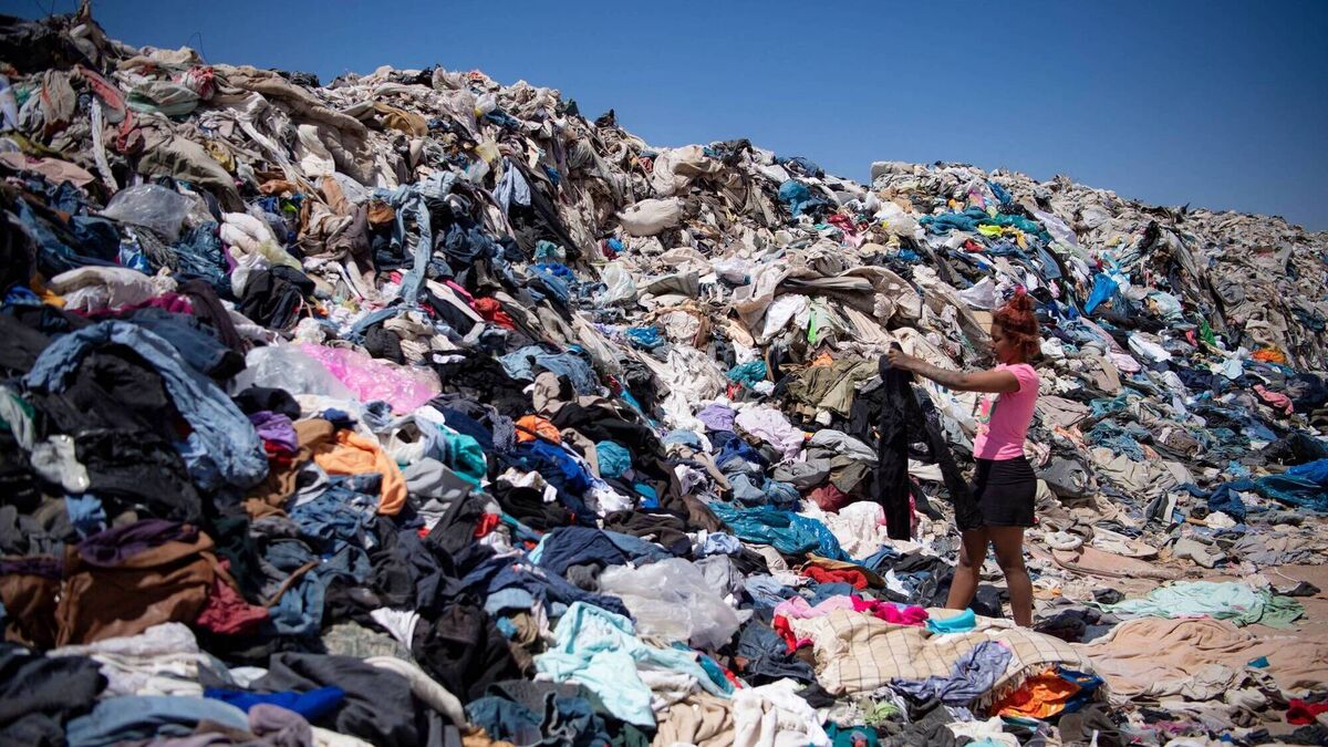 Christmas jumpers are fuelling a global eco disaster - Vimarsana News