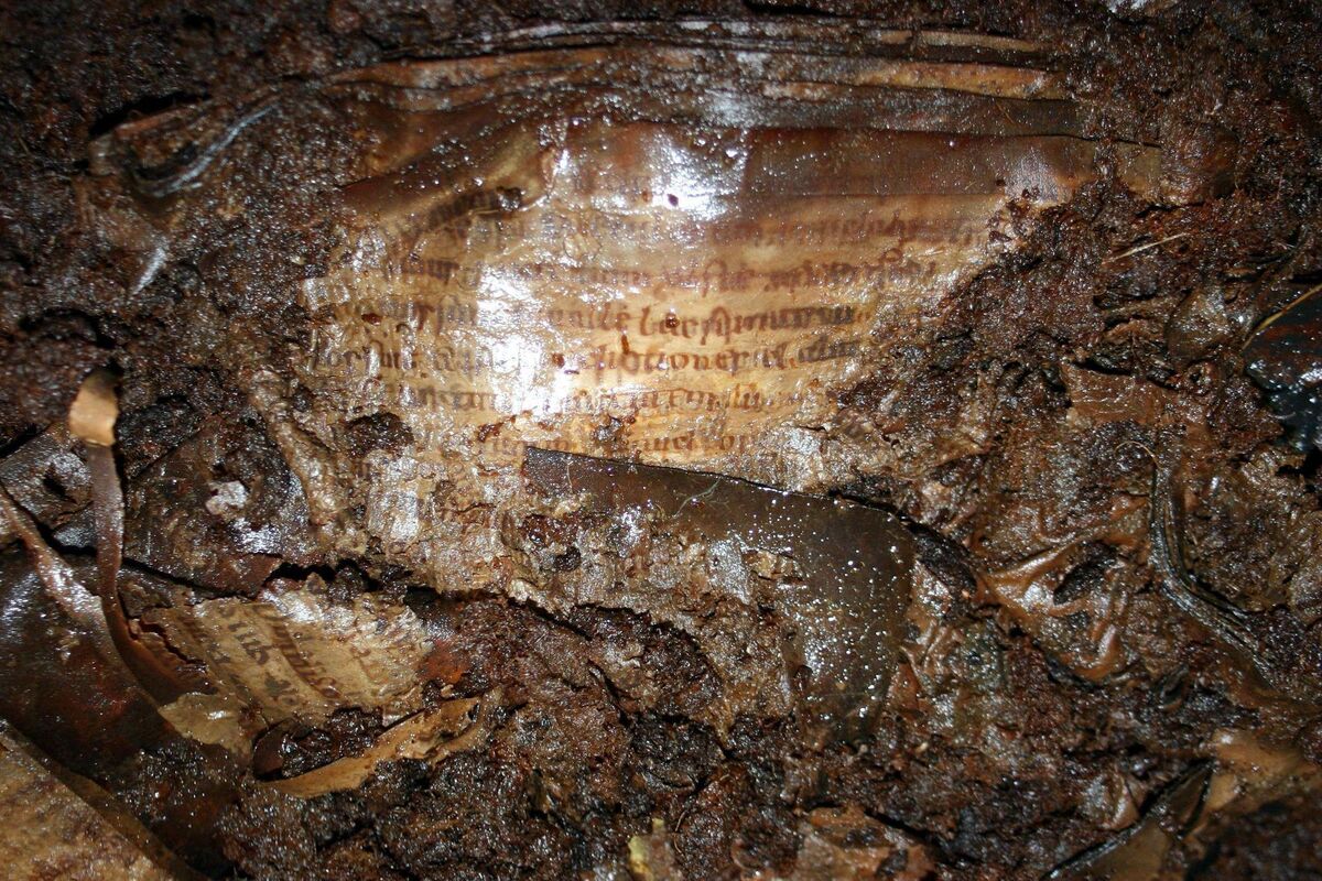 Fragments of the ancient manuscript uncovered by an excavator driver while digging peat moss at Faddan More Bog, Co Tipperary. The manuscript is the only one of its kind to have been discovered in the world. Picture: National Museum of Ireland/PA Fragments of the ancient manuscript uncovered by an excavator driver while digging peat moss at Faddan More Bog, Co Tipperary. The manuscript is the only one of its kind to have been discovered in the world. Picture: National Museum of Ireland/PA