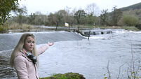 Restoring weir will bring valuable habitat to Cork public park