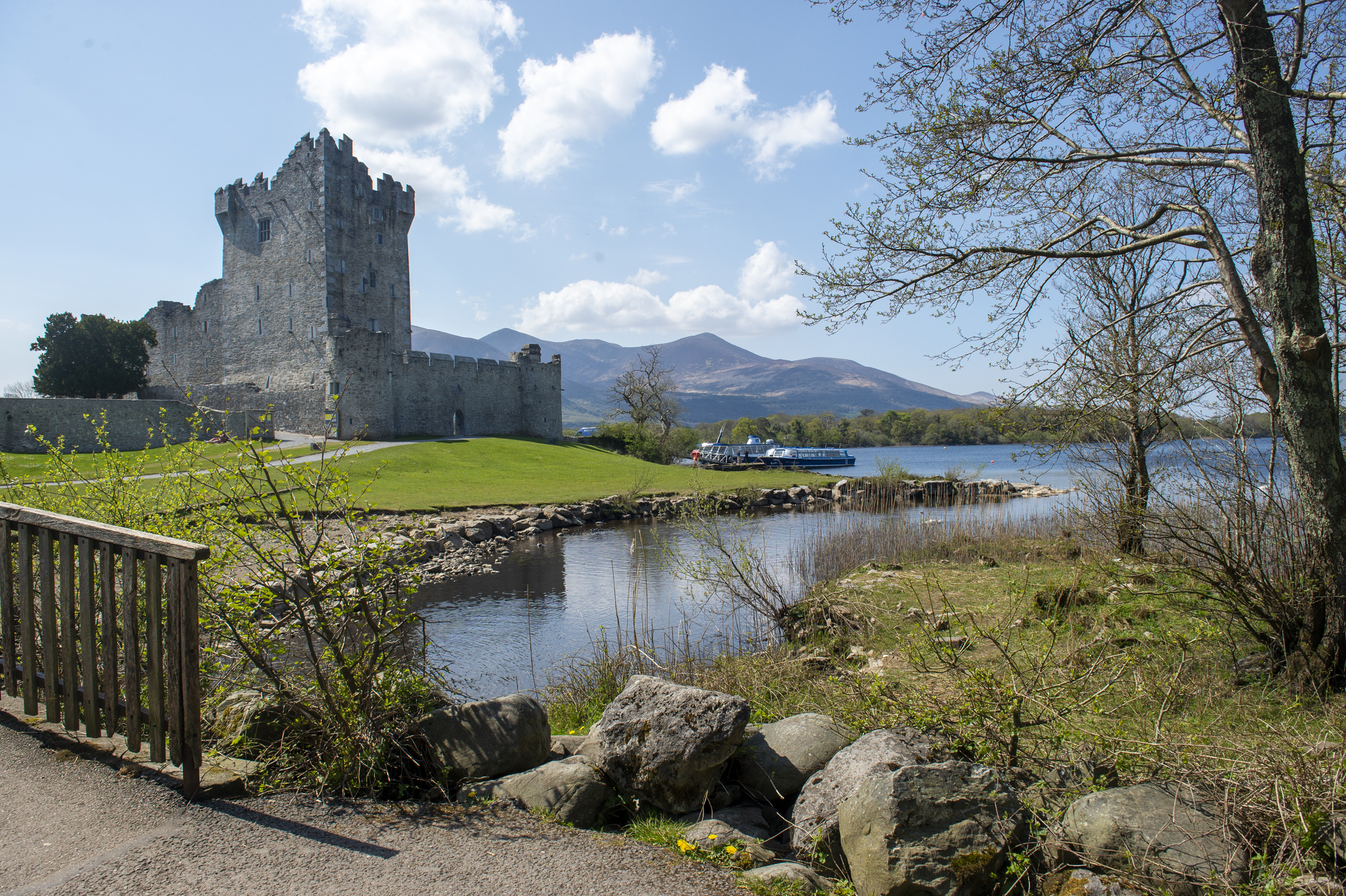 Property Focus: The perfect storm that's hitting Killarney's housing market