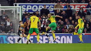 <p>Teemu Pukki scored a late equaliser for Norwich (Mike Egerton/PA)</p>