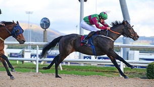 <p>Rocky Dreams and Daniel King win at Dundalk earlier this month. Picture: Healy Racing</p>