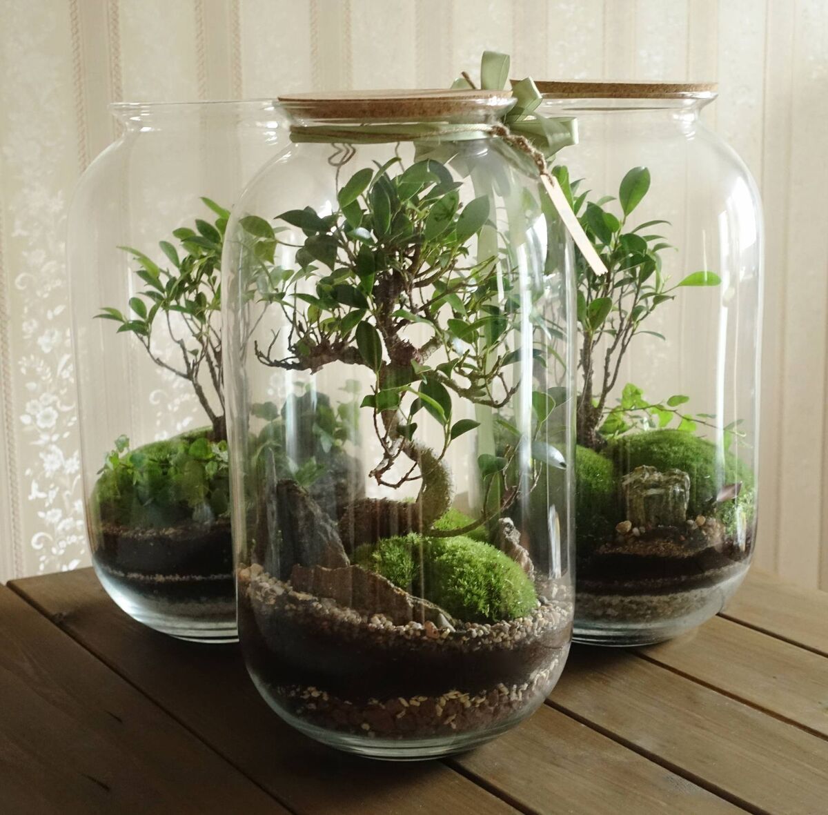 Plants make wonderful gifts that will outlast the season. A poinsettia is a traditional classic, but you could choose something to pot up in your own way. Picture: iStock Plants make wonderful gifts that will outlast the season. A poinsettia is a traditional classic, but you could choose something to pot up in your own way. Picture: iStock
