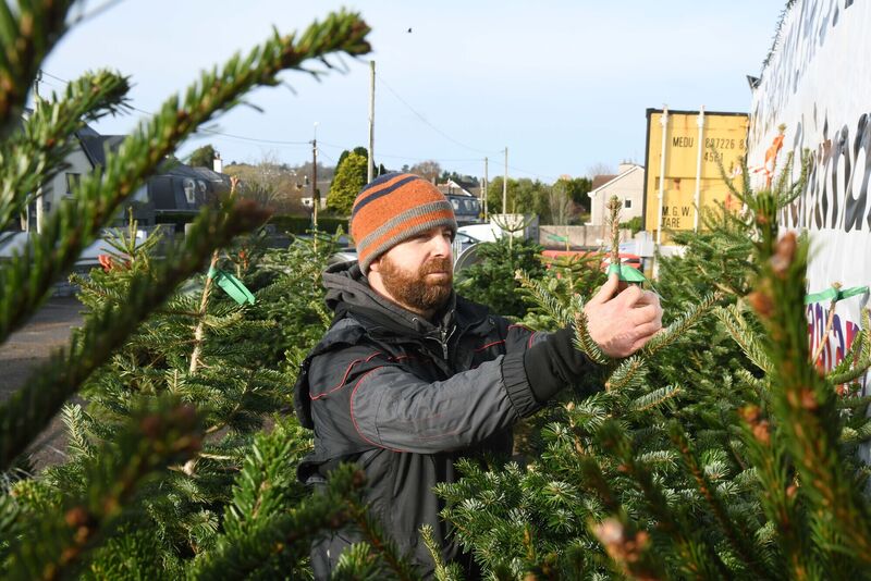 Colm Crowley at Blackrock Hurling Club, Cork. Picture: Denis Minihane