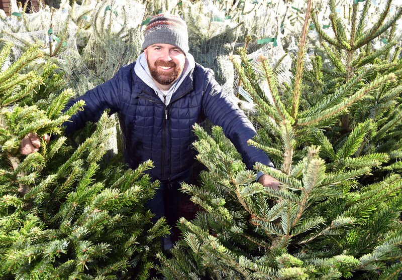 Colm Crowley, proprietor of Cork Pot Grown Christmas Trees, at Blackrock GAA Club. Picture: Eddie O'Hare