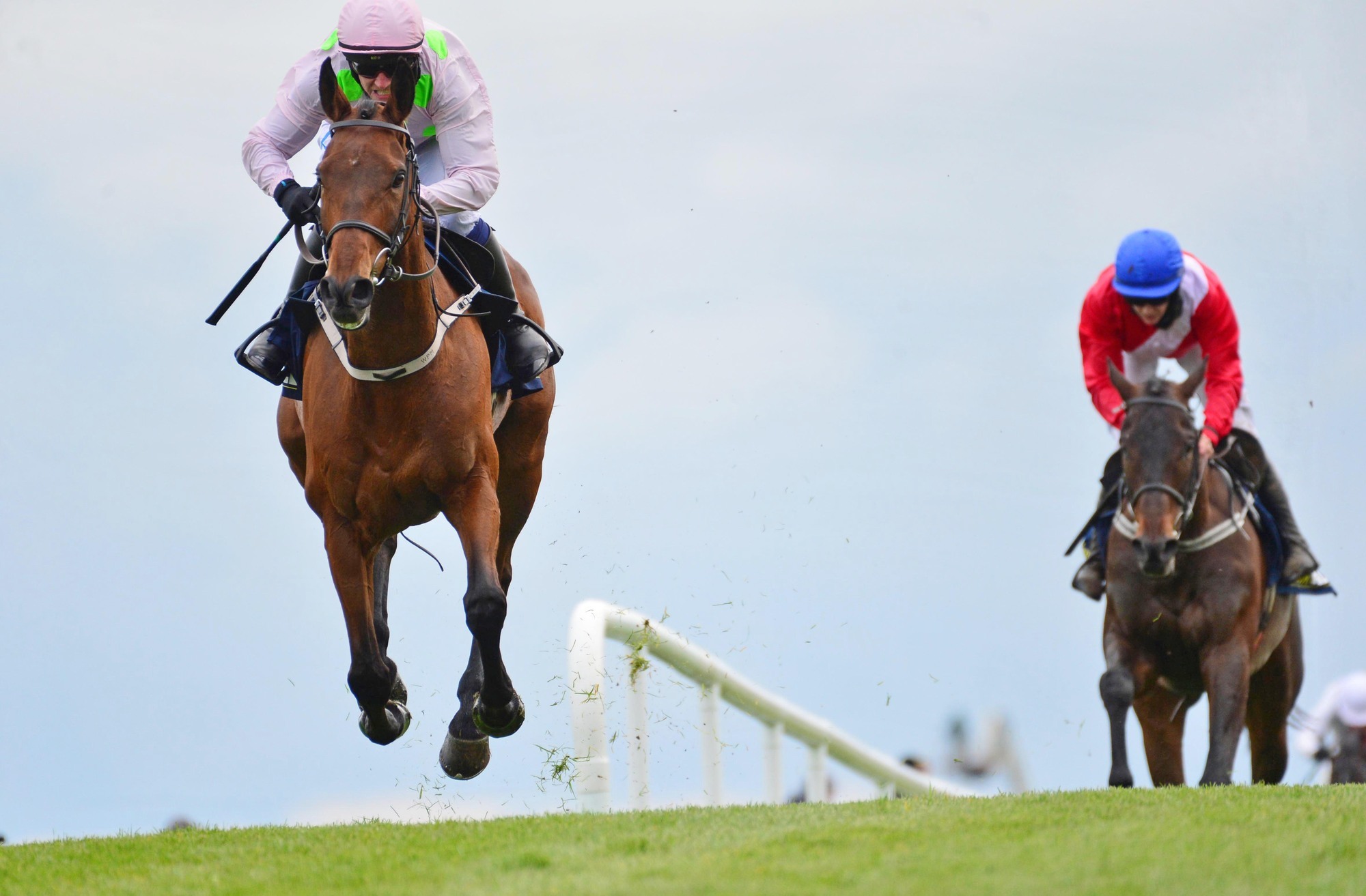 Talking Horses: Chacun Pour Soi can put rivals in their place at Sandown