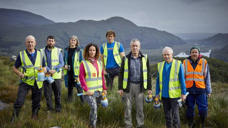 Kerry Rhododendron clearance costs surpass €2m