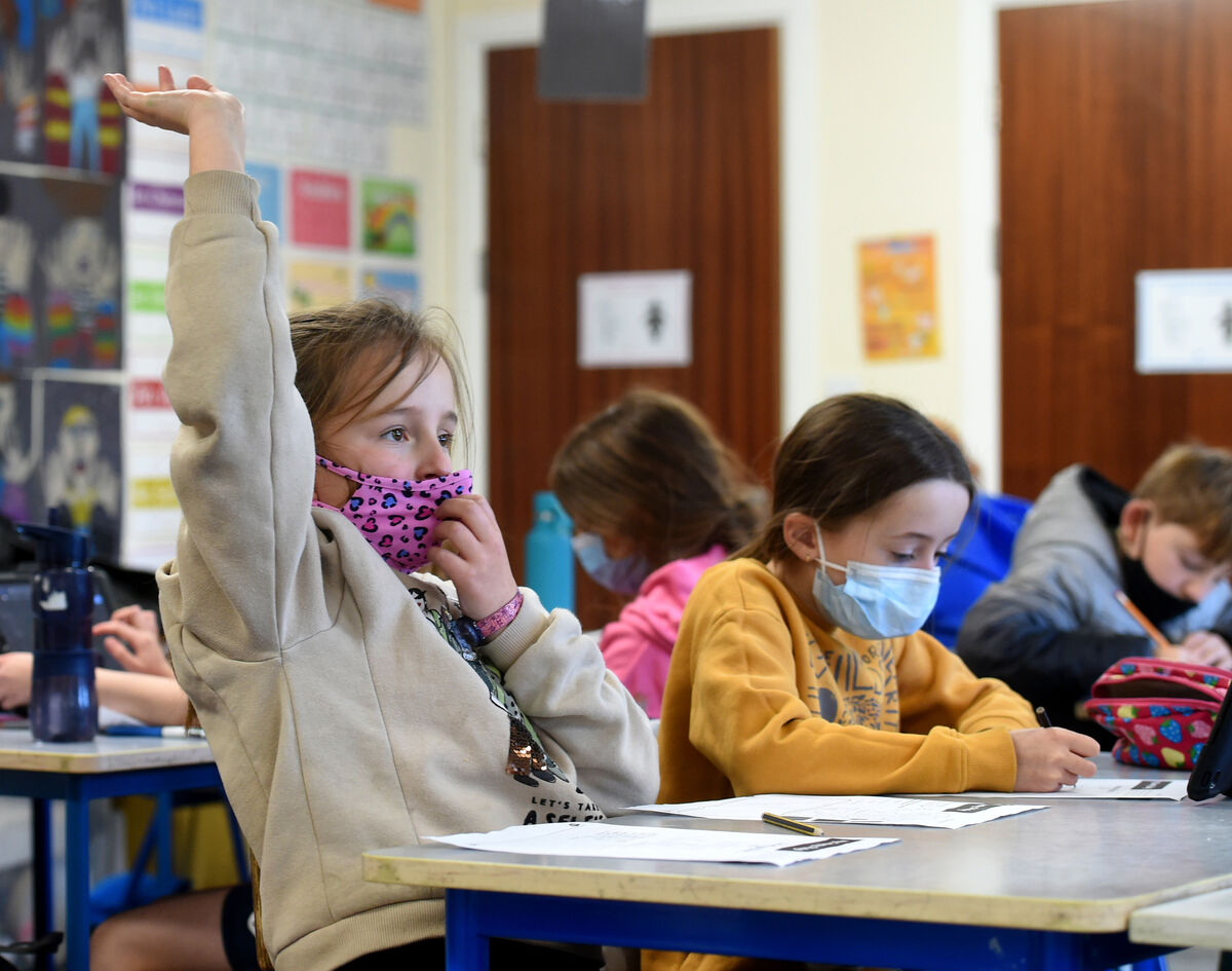 The wearing of face coverings in 3rd to 6th classes is now mandatory, with exemptions, at national schools following NPHET's advice to government. The wearing of face coverings in 3rd to 6th classes is now mandatory, with exemptions, at national schools following NPHET's advice to government.