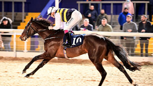 <p>Billy Lee winning for trainer Henry de Bromhead at Dundalk last week. He can have more success at the same track today. Picture: Healy Racing</p>