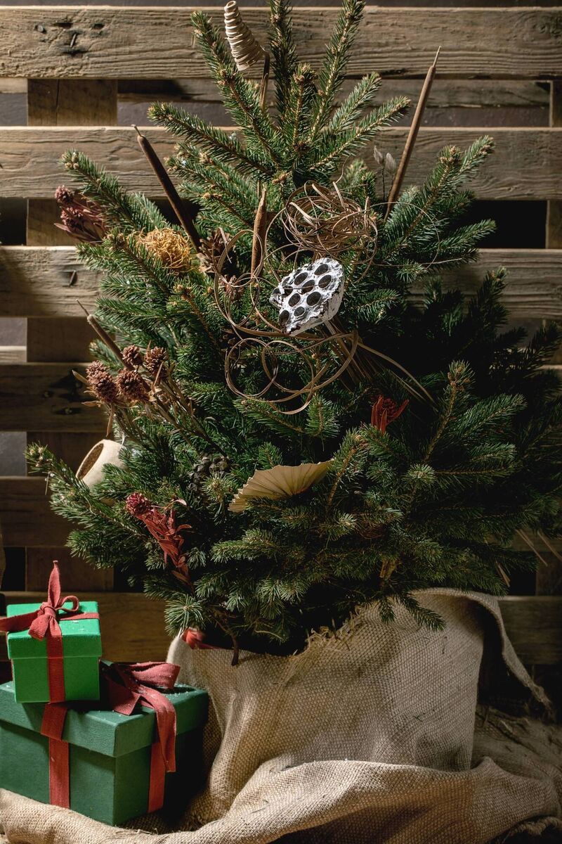 Au natural: think Scandi, beige but in a good way, natural foliage, lots of upcycling and sustainable bits.