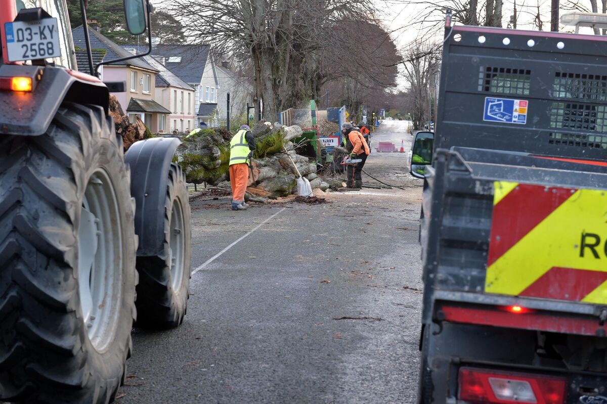 Kerry County Council workmen clear a fallen oak tree outside The Mon Boys School on New Road Killarney on Wednesday morning. Picture: Don MacMonagle Kerry County Council workmen clear a fallen oak tree outside The Mon Boys School on New Road Killarney on Wednesday morning. Picture: Don MacMonagle