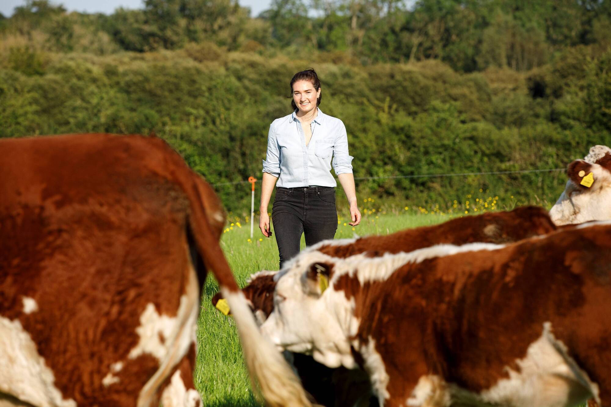 Hannah Quinn-Mulligan, who chairs the Women in Agriculture Stakeholders Group, came up the idea to ask women to anonymously share their experiences.