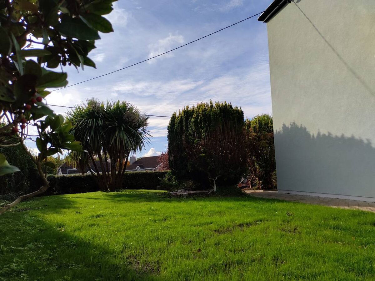 Side garden at Ashville